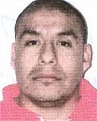 HERNANDEZ, ROBERTO VENEGAS