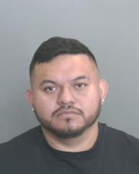 MARTINEZ, BRIAN VERBENA